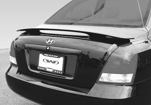 2001-2002 Hyundai Elantra W-Typ Custom 2 Leg Wing No Light
